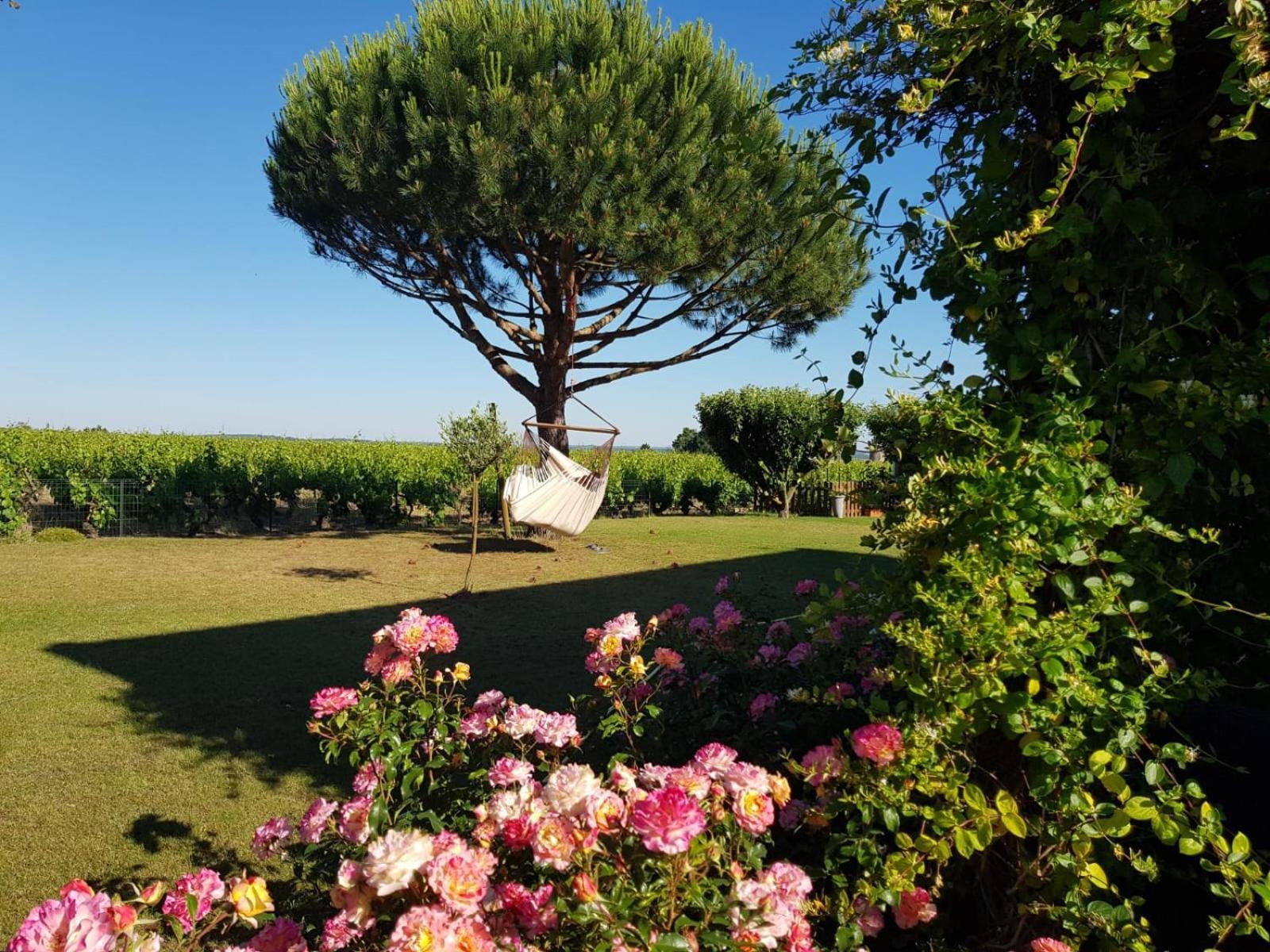Entre Loire Et Vignobles Bed and Breakfast Liré Εξωτερικό φωτογραφία